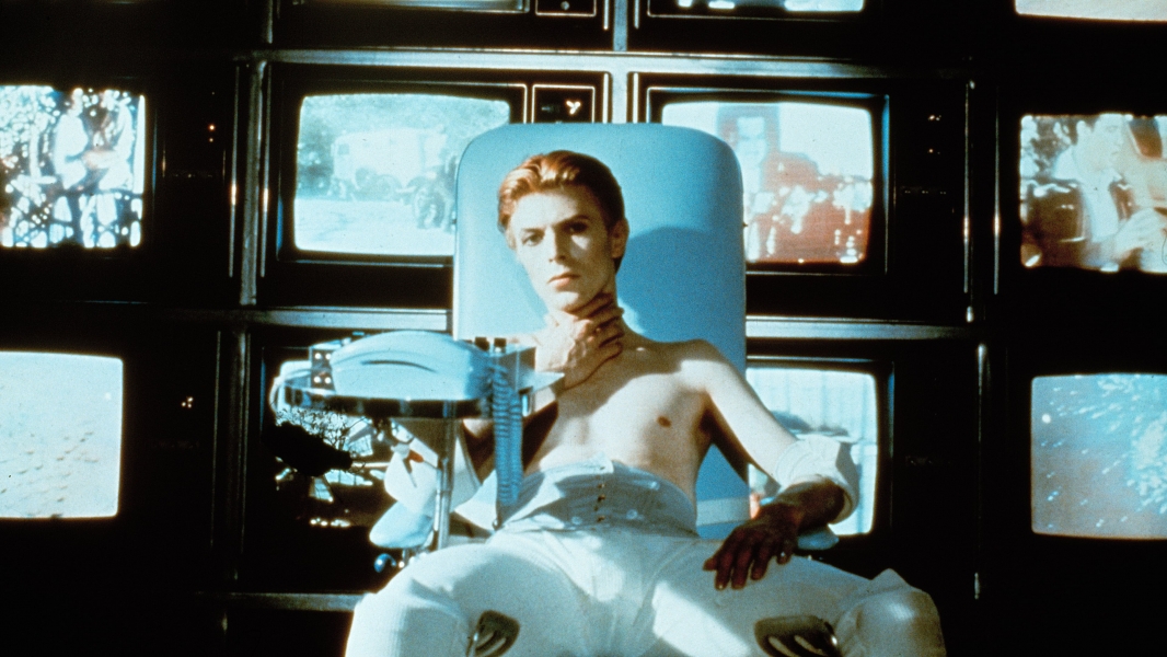 The Man Who Fell to Earth