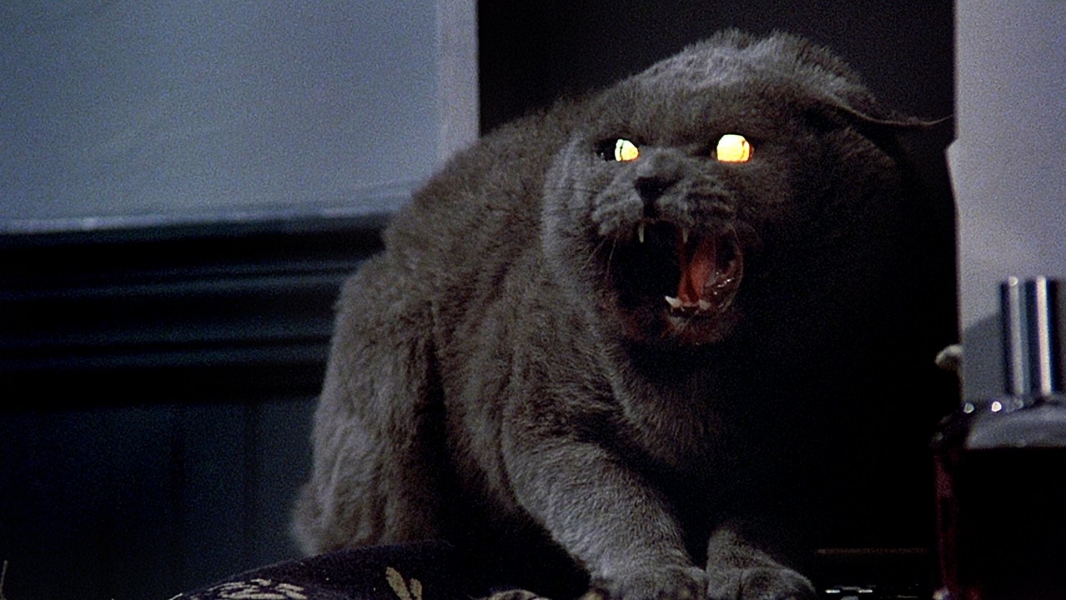 Pet Sematary