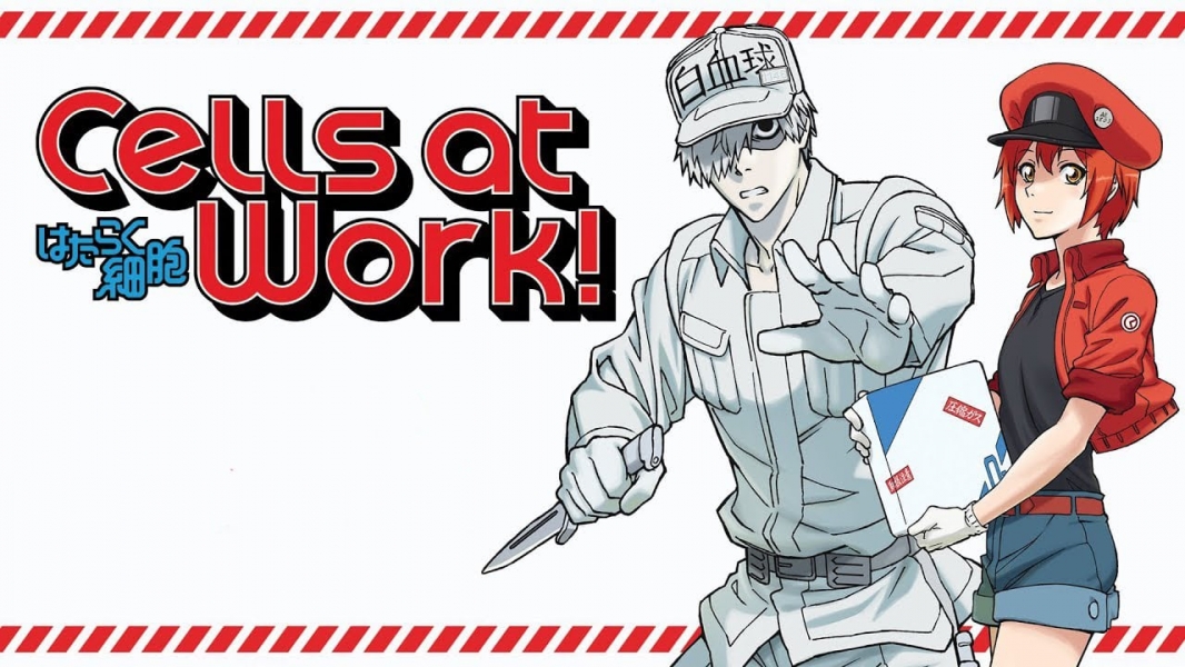 Cells at Work!