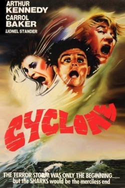 Cyclone