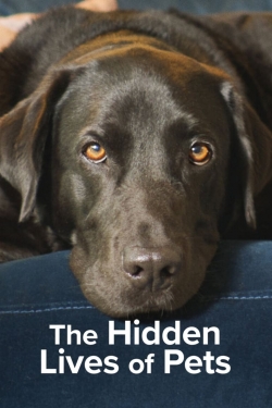 The Hidden Lives of Pets