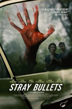 Stray Bullets