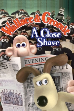 A Close Shave